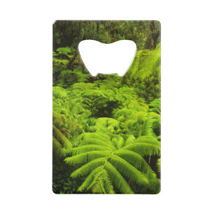 Hawaii, Big Island, Lush tropical greenery in Wallet Bottle Opener