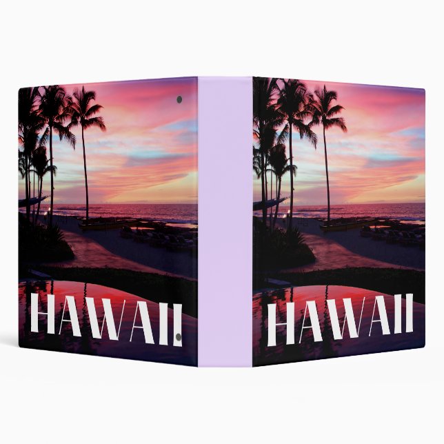 Hawaii Binder (Background)