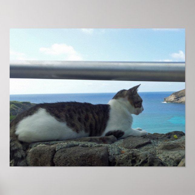 Hawaii Cat Poster (Front)