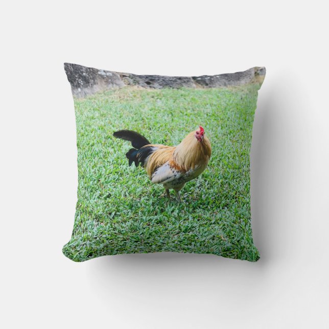 hawaii chicken hen photo throw pillow (Front)
