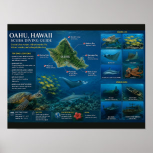 Hawaii Dive Sites Poster
