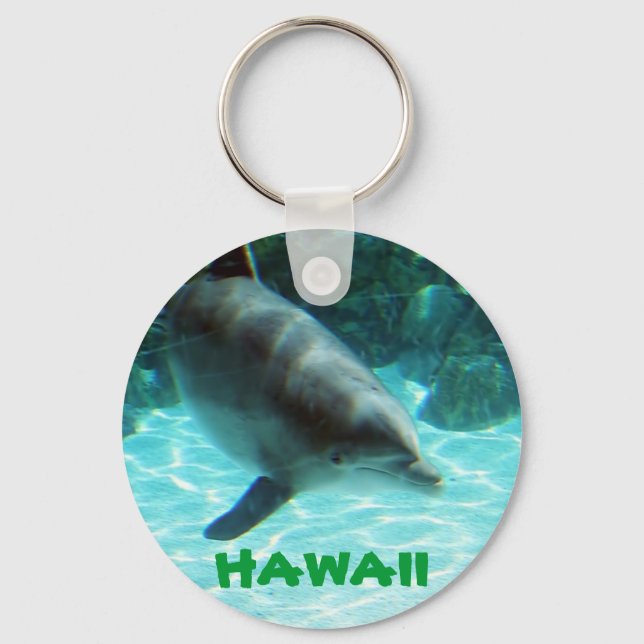 Hawaii Dolphin Keychain (Front)