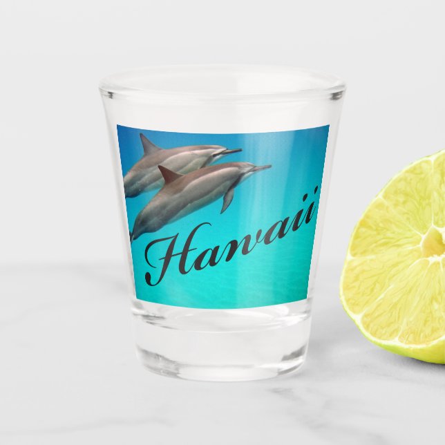 Hawaii Dolphin Shot glass (Front)