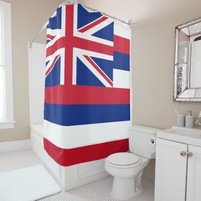 Hawaii Flag (In Situ)