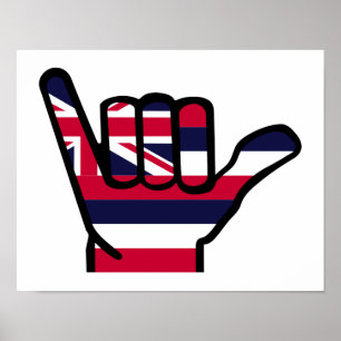 Hawaii flag hand poster