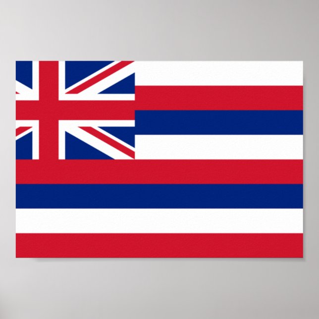 Hawaii Flag Poster (Front)