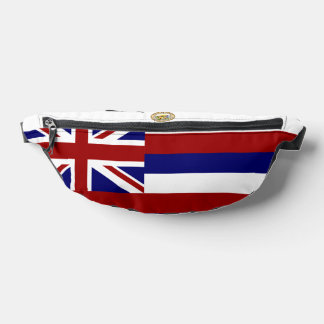 Hawaii flag-Seal