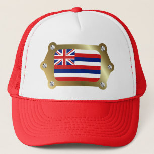 Hawaii framed Flag Hat