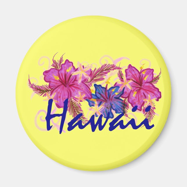 Hawaii fridge magnet (Front)