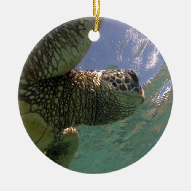 Hawaii Green Sea Turtle Ceramic Ornament (Front)