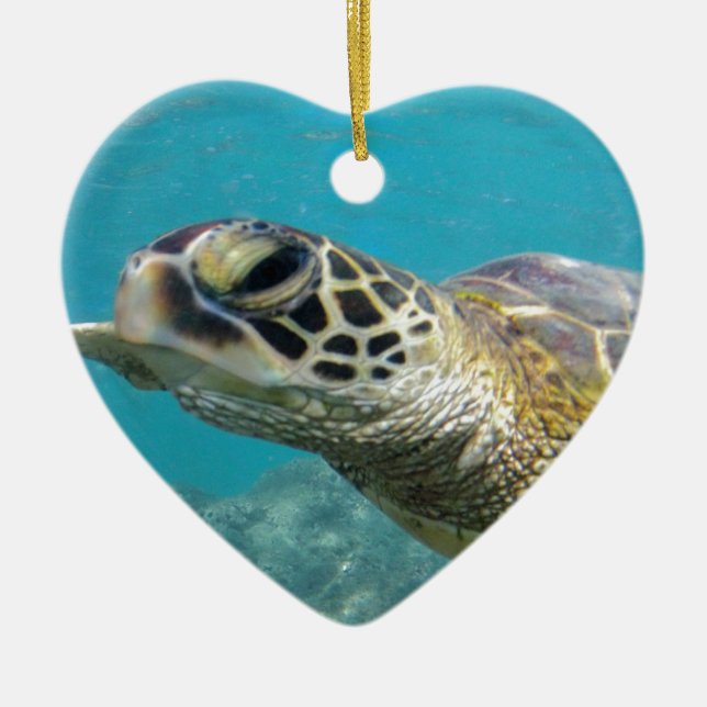 Hawaii Green Sea Turtle Ceramic Ornament (Front)