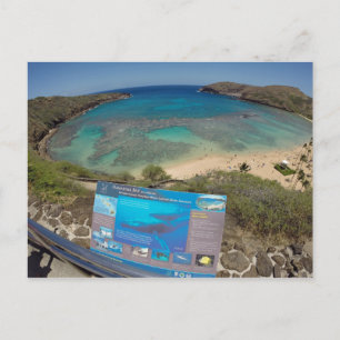 Hawaii Hanauma Bay Volcano Postcard