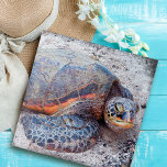 Hawaii Honu Sea Turtle Photo Stylish Colourful Jigsaw Puzzle<br><div class="desc">Sea turtles certainly know how to relax in the sun. Drift back to the warm breezes of the Hawaiian Islands whenever you spend time working on this beautiful, stunning, colourful honu sea turtle close-up photo jigsaw puzzle. Makes a great gift for someone special! Comes in a special gift box. You...</div>