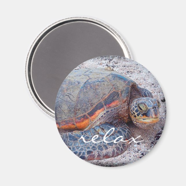 Hawaii honu tropical sea turtle photo relax script magnet (Front/Back)