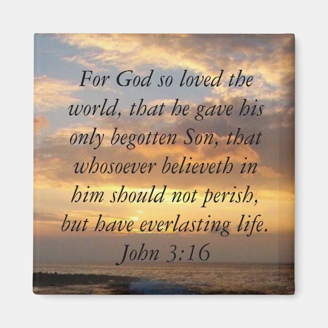 Hawaii John 3:16 Magnet (Front)