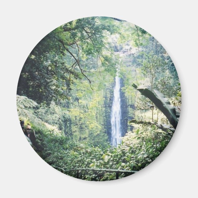 hawaii magnet (Front)