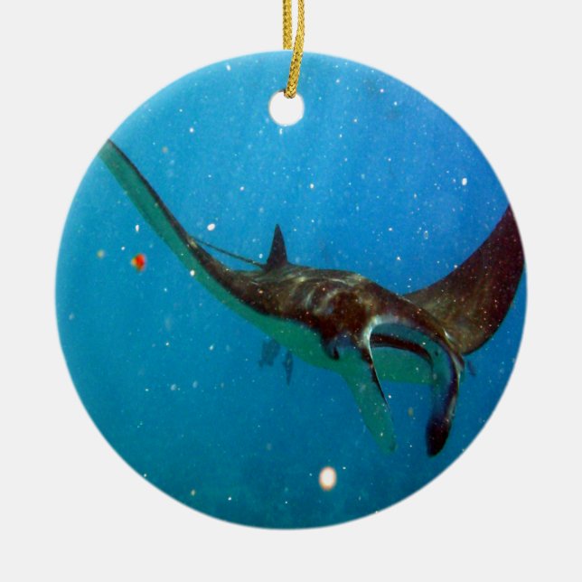 Hawaii Manta Ray Ceramic Ornament (Front)