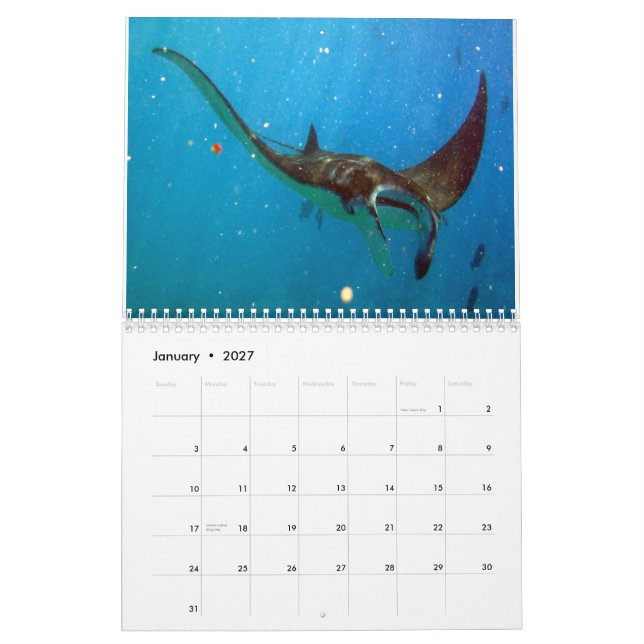 Hawaii Manta Rays, Eels and Octopus Calendar (Jan 2027)