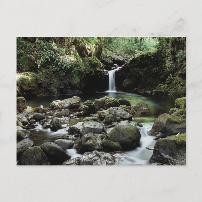 Hawaii, Maui, A waterfall flows into Blue Pool Postcard (Front)