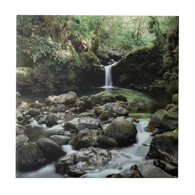Hawaii, Maui, A waterfall flows into Blue Pool Tile (Front)