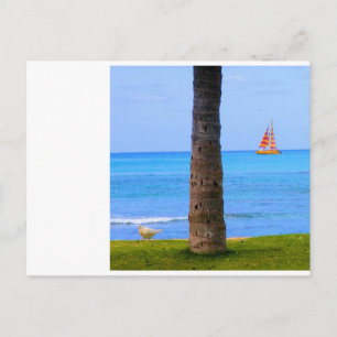 Hawaii Nature Postcard