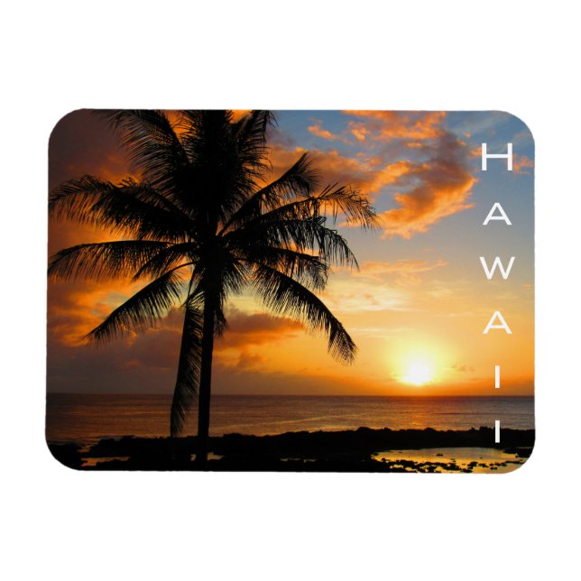 hawaii palm sunset magnet (Horizontal)