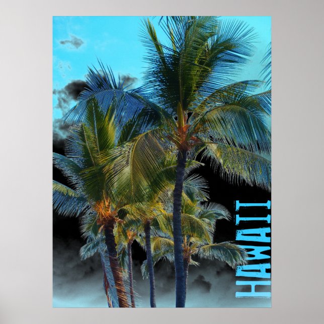 Hawaii palm tree art black poster (Front)