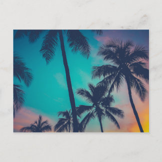 Hawaii Palm Trees At Sunset Postcard