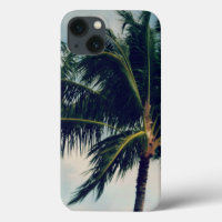 Hawaii Palm Trees