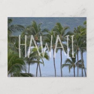 Hawaii Palm Trees Postcard