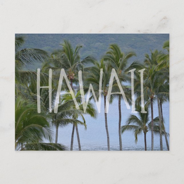 Hawaii Palm Trees Postcard (Front)