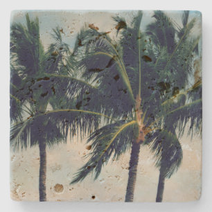 Hawaii Palm Trees  Stone Coaster
