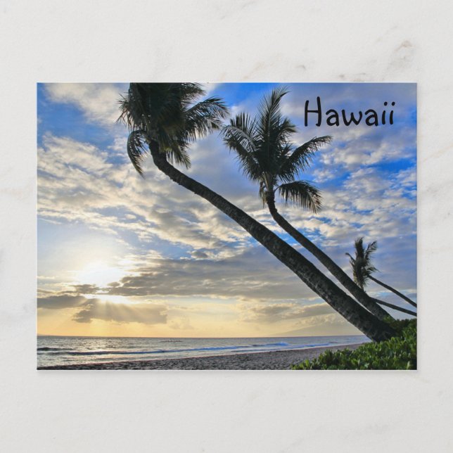 Hawaii Palms Postcard (Front)