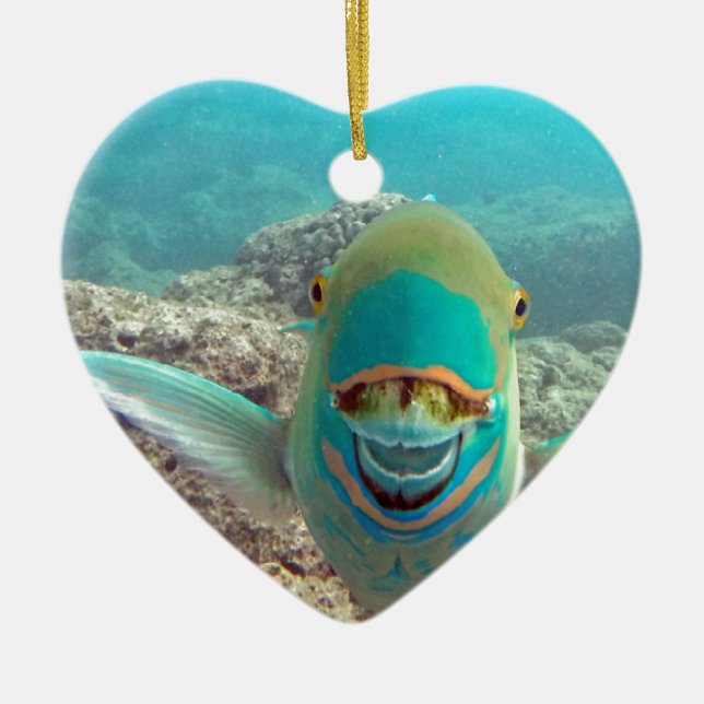 Hawaii Parrot Fish - Uhu Ceramic Ornament (Front)