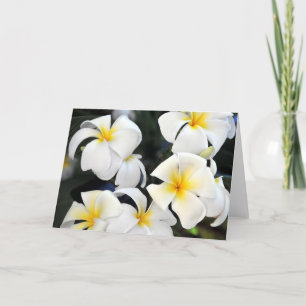 Hawaii Plumeria Flowers Greeting Card
