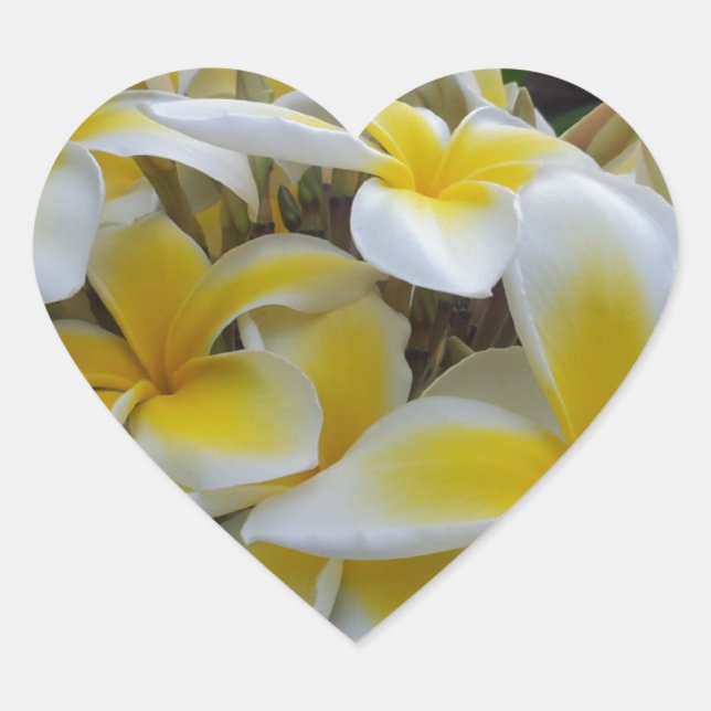 Hawaii Plumeria Flowers Heart Sticker (Front)