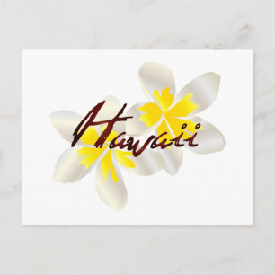 Hawaii Plumeria Flowers Postcard