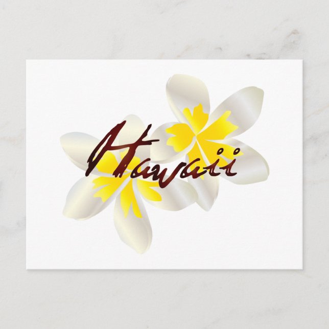 Hawaii Plumeria Flowers Postcard (Front)