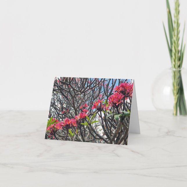 Hawaii Plumeria Thank You Card (Front)