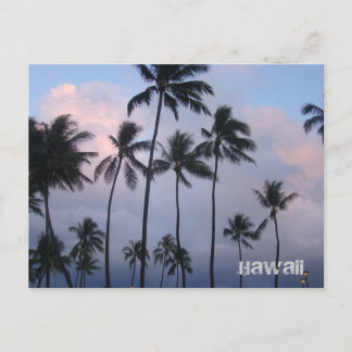 Hawaii Postcard
