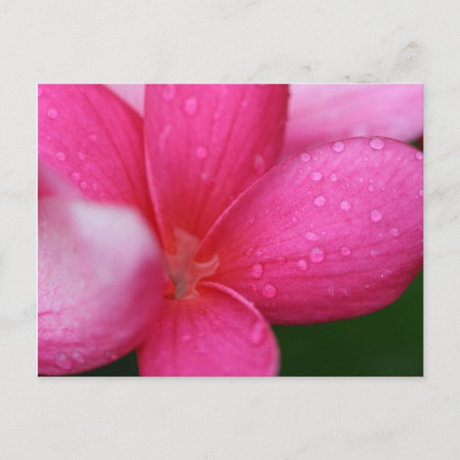 Hawaii Postcard (Front)