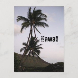Hawaii Postcard