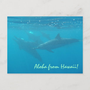 Hawaii saluant le dauphin sous-marin carte postale
