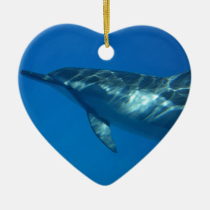 Hawaii Spinner Dolphin Ceramic Ornament