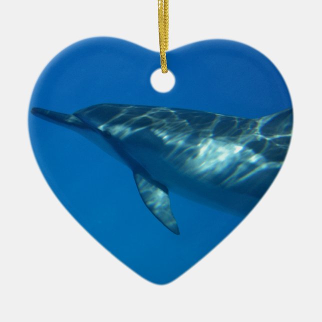 Hawaii Spinner Dolphin Ceramic Ornament (Front)