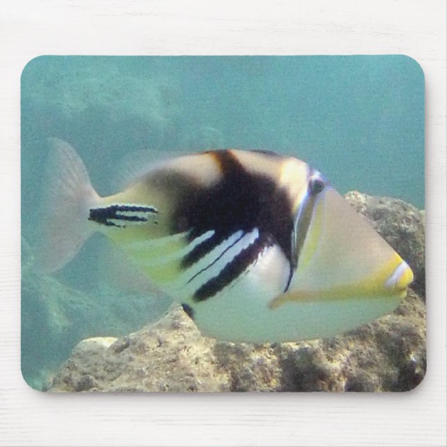 Hawaii State Fish - Humuhumunukunukuapua'a Mouse Pad (Front)