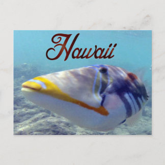 Hawaii State Fish - Humuhumunukunukuapua'a Postcard