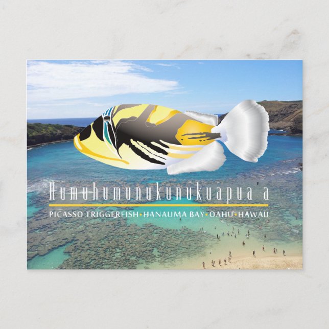 Hawaii State Fish - Humuhumunukunukuapua'a Postcard (Front)