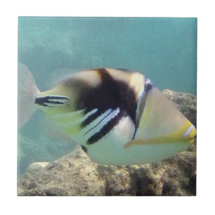 Hawaii State Fish - Humuhumunukunukuapua'a Tile