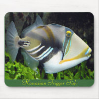Hawaii state fish